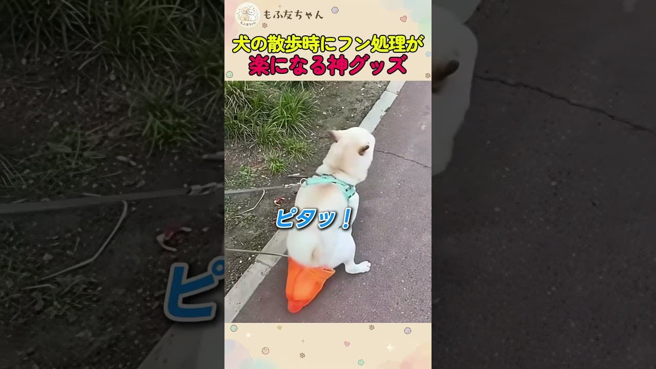 犬の散歩時にフン処理が楽になる神グッズ